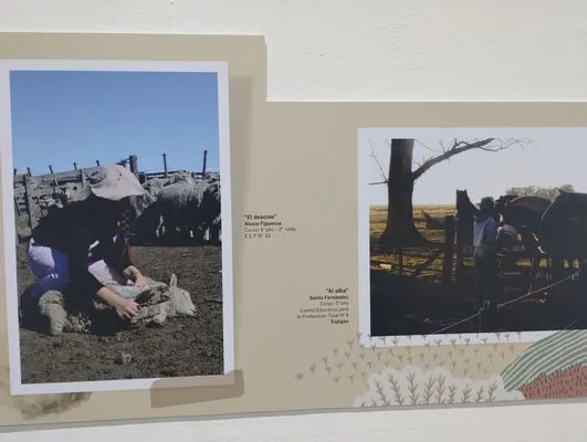 tn_IMG_20241015_185415166