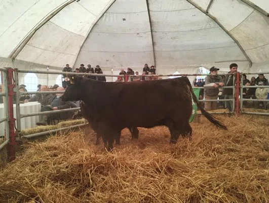 tn_IMG_20240824_142533221