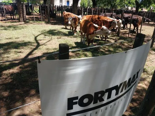 tn_IMG_20231213_125039601