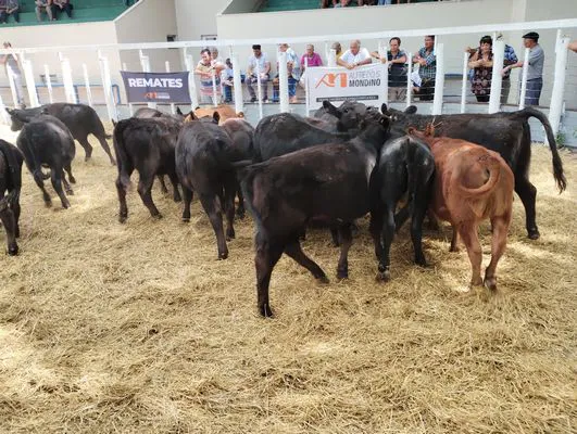 tn_IMG_20240221_150045149