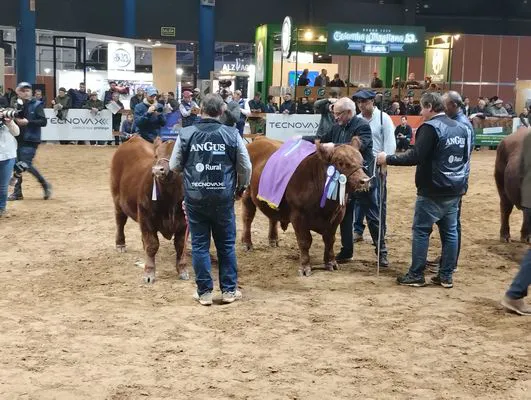 tn_IMG_20240522_175240349