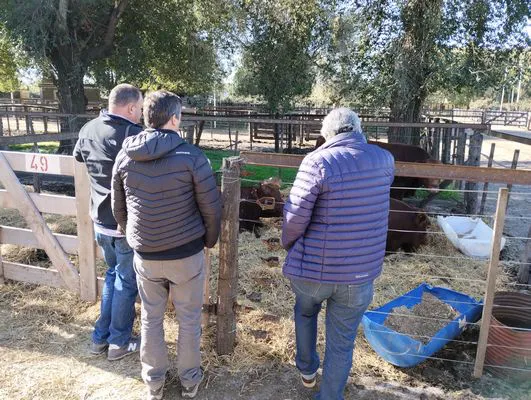 tn_IMG_20240502_144618757