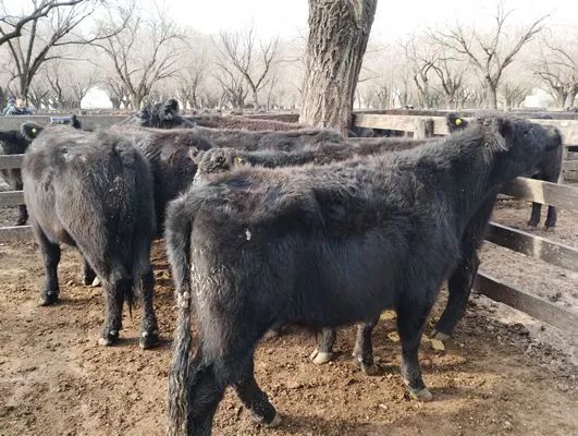 tn_IMG_20240718_145349474