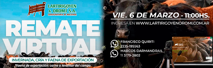 LARTIRIGOYEN Y OROMI