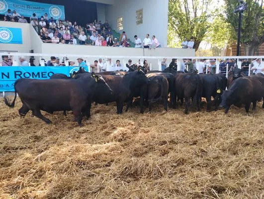 tn_IMG_20241018_170327637