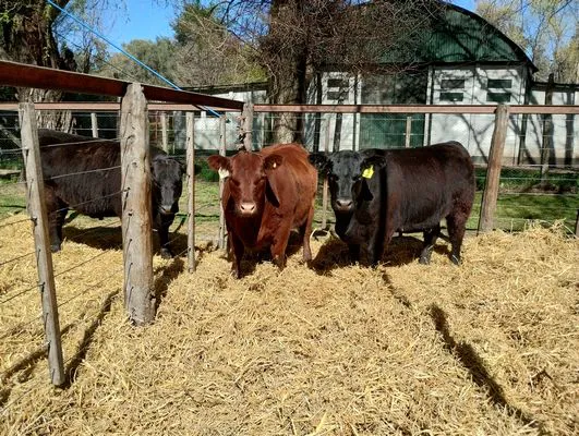 tn_IMG_20240907_112535134_HDR