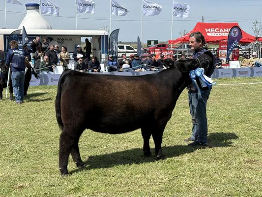 tn_SEMANA ANGUS5
