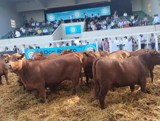 tn_IMG_20241018_172806507