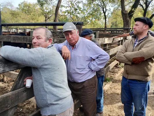 tn_IMG_20250514_124302950_HDR