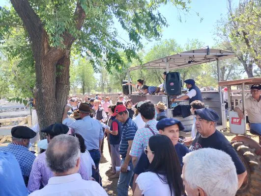 tn_IMG_20241026_123445538_HDR