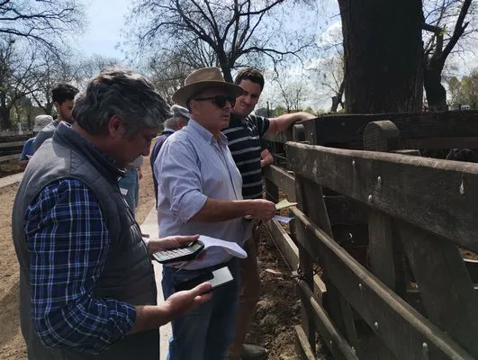 tn_IMG_20240925_151607725