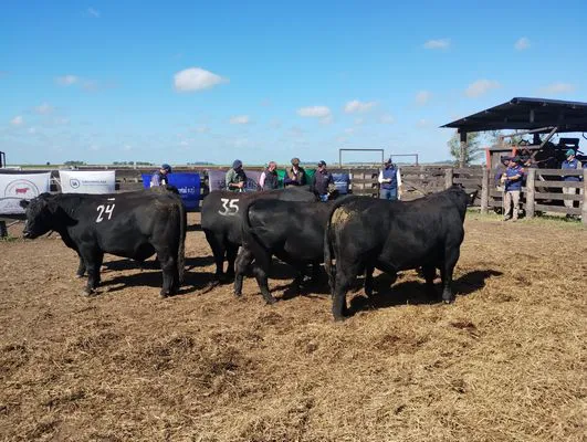 tn_IMG_20250409_121046785