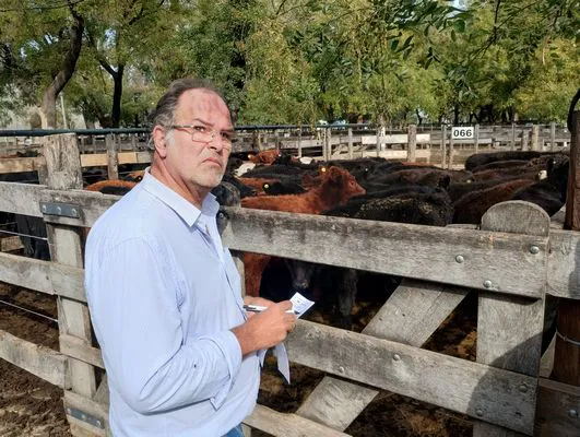 tn_IMG_20250514_130821229_HDR