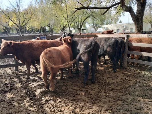 tn_IMG_20240529_115942544_HDR