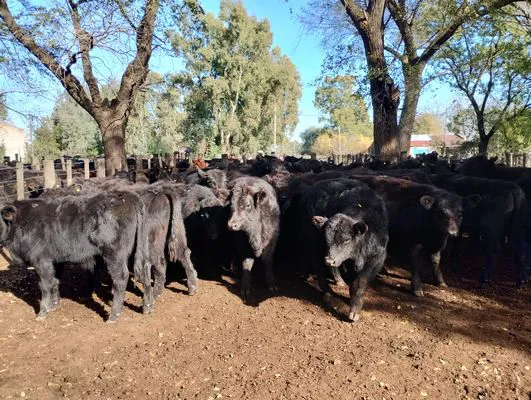 tn_IMG_20250611_123947090_HDR