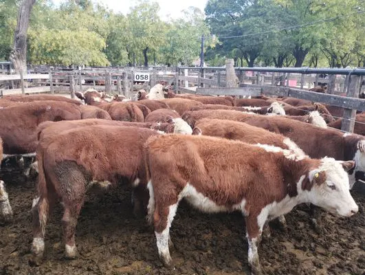 tn_IMG_20250404_151944254