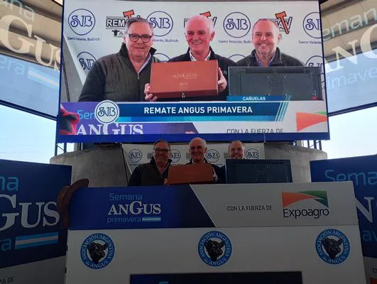 tn_IMG_20240916_123142276_HDR