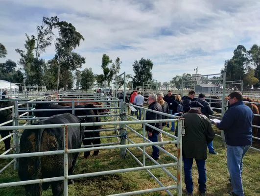 tn_IMG_20240815_112159612_HDR