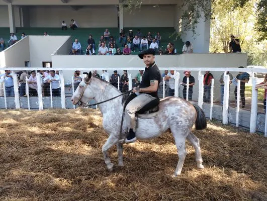 tn_IMG_20240326_145017499