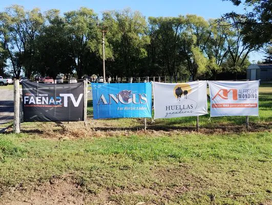 tn_IMG_20240417_093803326