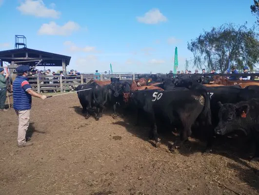 tn_IMG_20250409_110719111