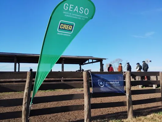 tn_IMG_20240611_103117954