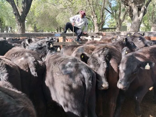 tn_IMG_20241008_154240694_HDR