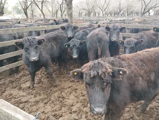 tn_IMG_20240626_105335174