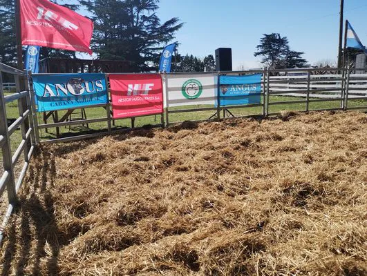 tn_IMG_20240912_121004872