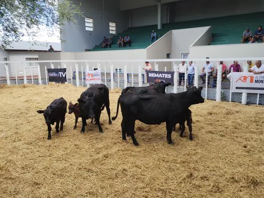 tn_IMG_20240221_150447274