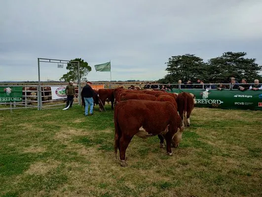 tn_IMG_20240614_144156133_HDR