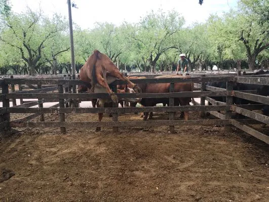 tn_IMG_20250116_153418501