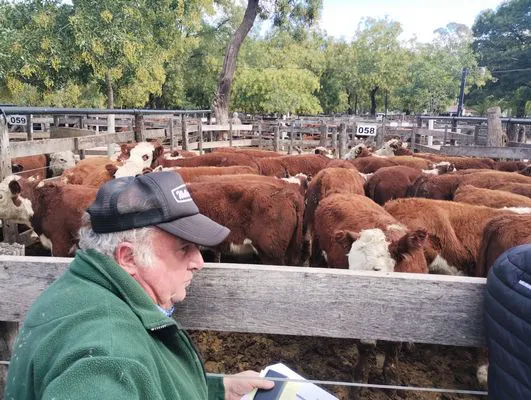 tn_IMG_20250404_151935122