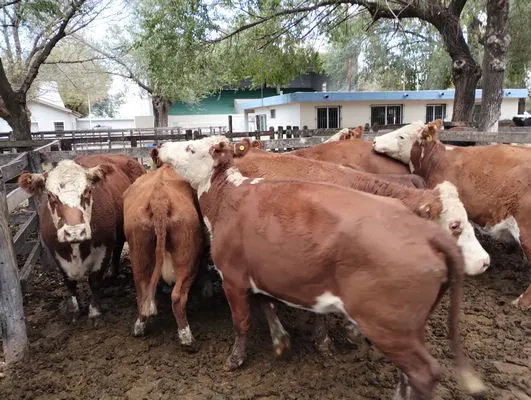 tn_IMG_20240430_150154526