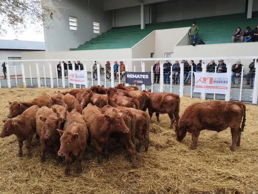 tn_IMG_20240529_140230494