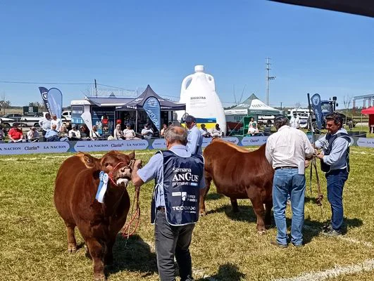J22