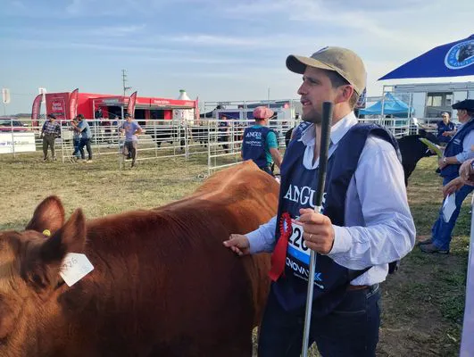 tn_IMG_20240918_170711743_HDR