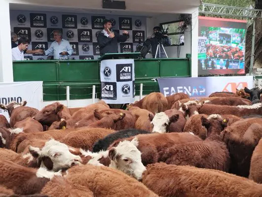 tn_IMG_20240322_164004612