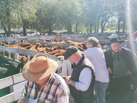 tn_IMG_20250424_142814194