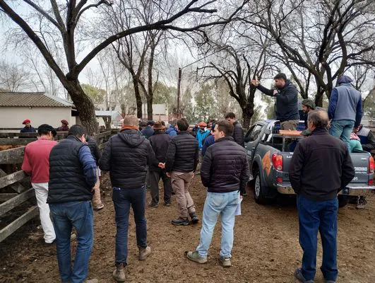 tn_IMG_20240731_114100881_HDR