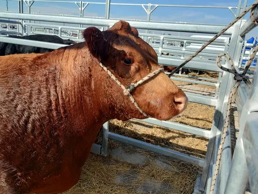 tn_IMG_20250604_133741985_HDR