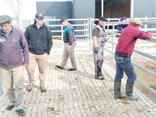 tn_IMG_20250604_122350055