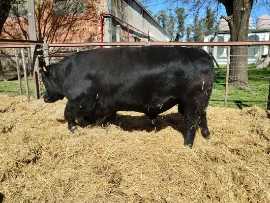 tn_IMG_20240907_112736636_HDR