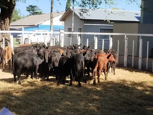 tn_IMG_20240214_161739404