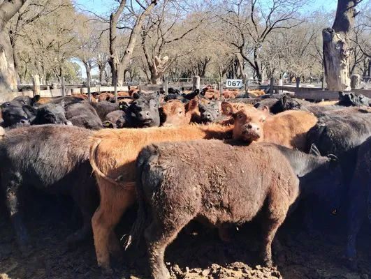 tn_IMG_20240829_145044998_HDR