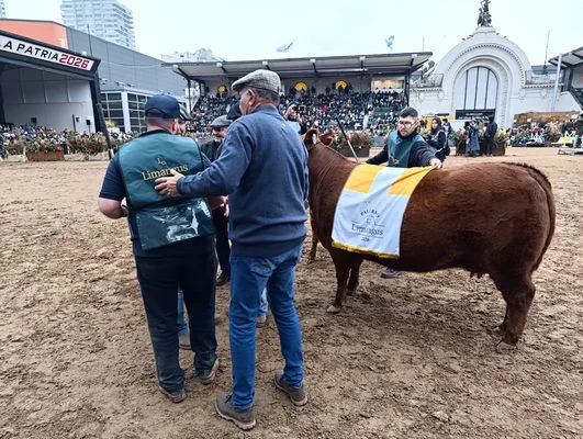 ESCALA5