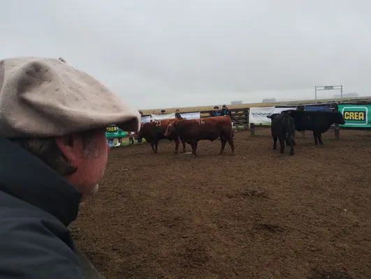 tn_IMG_20240806_114002288