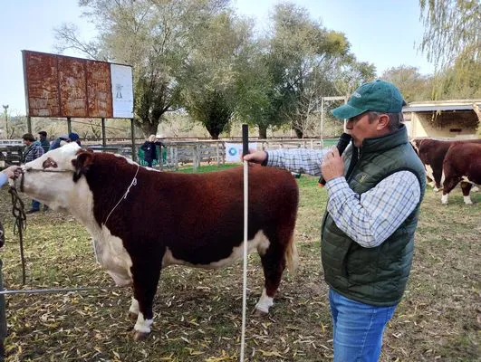 tn_IMG_20240530_143937086_HDR