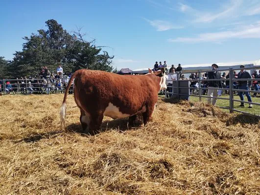 tn_IMG_20240927_143420616