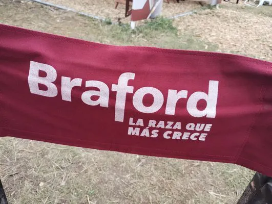 tn_IMG_20250312_124543786